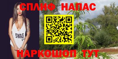 шишки Абинск
