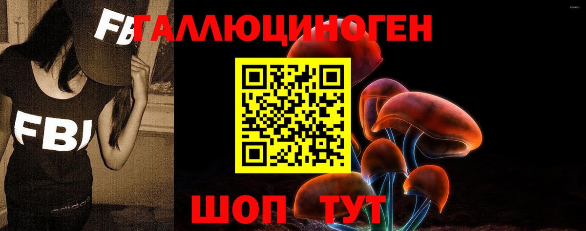 Алексеевка  Псилоцибиновые грибы Cubensis  Вход с VPN  Псилоцибиновые грибы ЛСД 